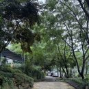 비9주짓수화순 | 광주 근교 물놀이장 화순 그린랜드 취사 가능 수영장 후기