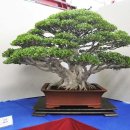 중화고등학교 이미지