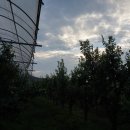 하울농장 이미지