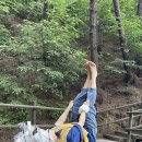 [구례 천은사 템플스테이] 아쉬운 공양(절밥)과 완벽했던 풍경: 솔직후기
