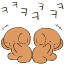 더엔비헤어 이미지