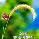 🐞잠을 자도 피곤한 당신, 피해야 할것🐞 이미지