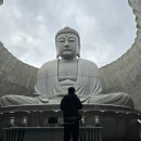 두대로-3 | 삿포로여행 두대불전 모아이상 스톤헨지 홋카이도가볼만한곳