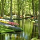 미인장수 이미지