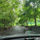 폭포가든 이미지