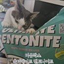 궁미유