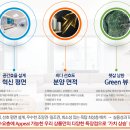 프라우스 Daum카페