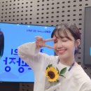 큰손가요광장 이미지