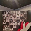 화이트래빗 이미지