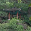 유림-6 Daum카페