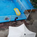 밀양댐생태공원 | 테마파크→한우소달구지&amp;육장갈비→표충사(우리아이마음속놀이터)→밀양댐 생태공원→단장면카페티볼리
