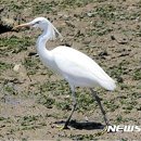 중선포천 이미지