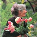 타샤의 아침 이미지