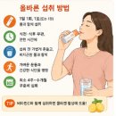 (주)데이즌 | 데이즈온그레인 효능 복용법 후기 구매 가격 부작용 까지