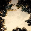 석양의추억 이미지