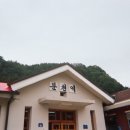 [1회용필름카메라후기] 코닥 데이라이트 800-39장 (노...울산 필름카메라 인화, 스캔 하기 (부광사진관)