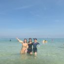 해궁펜션 | 경북 포항 여행 | 구룡포해수욕장 | 포항 스노클링 해수욕장 추천 | 구룡포 해수욕장 파라솔 | 구룡포...