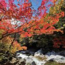 운곡생태습지길 4코스 이미지