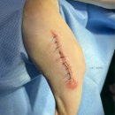 으뜸원동물병원 이미지