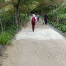 입곡군립공원(주차장옆) 이미지