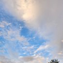 별품고텐박 이미지