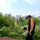 호야국수 이미지