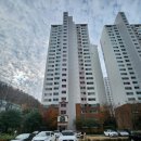 하단중학교 이미지