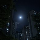 달이 비추는 곳 네이버블로그