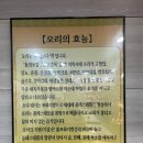 양을로 | 목포 맛집 산정동 낭낭오리집 가성비 끝판왕 오리불고기 후기🐣