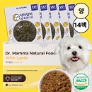 닥터맘마