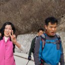 호계축사 Daum카페