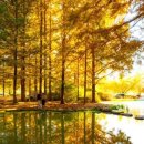 월영연못공원 이미지