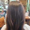 계절미용실 | 일산미용실 추천｜다가오는 계절 분위기 살리는 톤다운 염색 후기