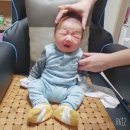 파코라반베이비 | 파코라반 베이비 후기