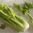 셀러리 이미지