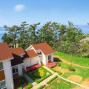 원산아일랜드 이미지