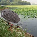 동방낚시터 이미지