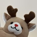 모어앤뷰티 | 마곡나루 왁싱샵 친절한 노모어뷰티앤왁싱 솔직후기