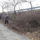 국도13호선 가로수 이미지