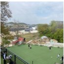 레드애견용품점