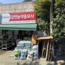 감전농약종묘사 네이버블로그