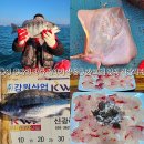 신광투어 이미지