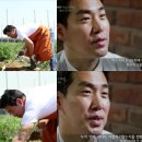 최고농장 이미지