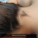 보성헤어 | 보성 뒷목왁싱 왁싱으로 깔끔하게~!