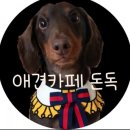써리 독 | 사회화훈련~경기도 애견카페"돈독"넓은운동장, 편안하고 맛있는 식사