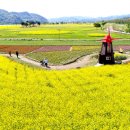 낙동강변16 이미지