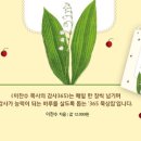 감사365