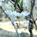 모악산 일주문 이미지