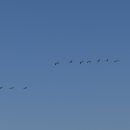 물계서원 이미지