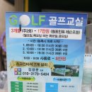 메이져골프클럽 | 문정동 골프레슨 골린이 성장 스토리 메이저골프클럽